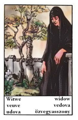 STARTING WITH GYPSY TAROT, HOW TO READ THE WIDOW CARD